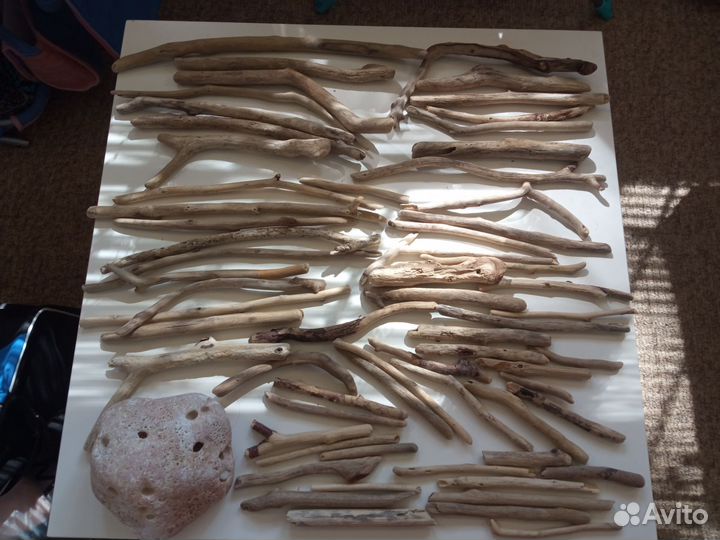 Коряги дрифтвуд