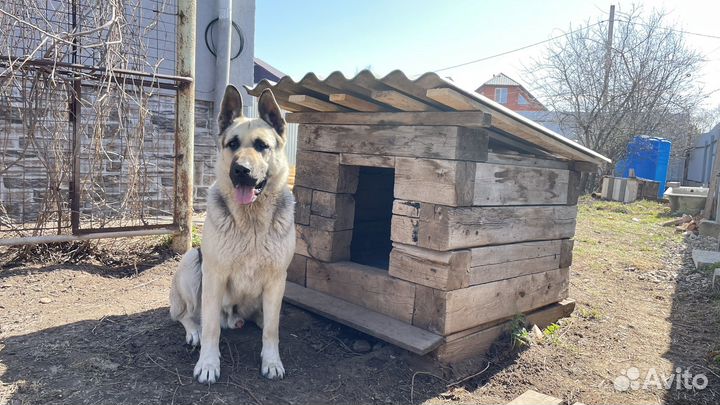 Будка для собаки утепленная
