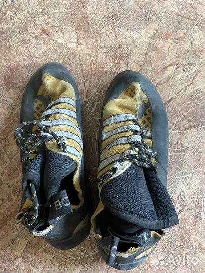 Скальные туфли