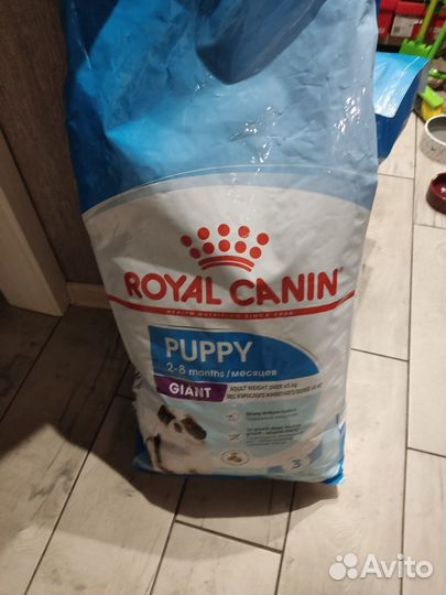 Royal canin giant puppy