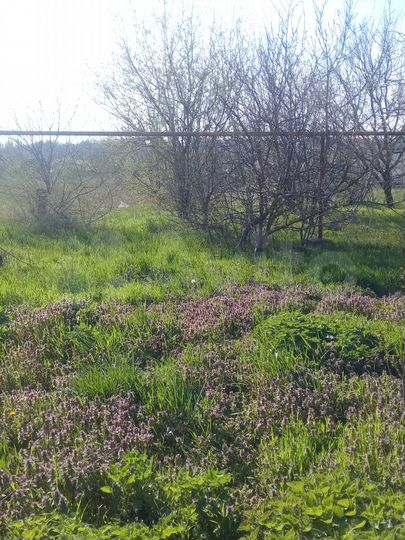 Дом 84,5 м² на участке 26,1 сот.