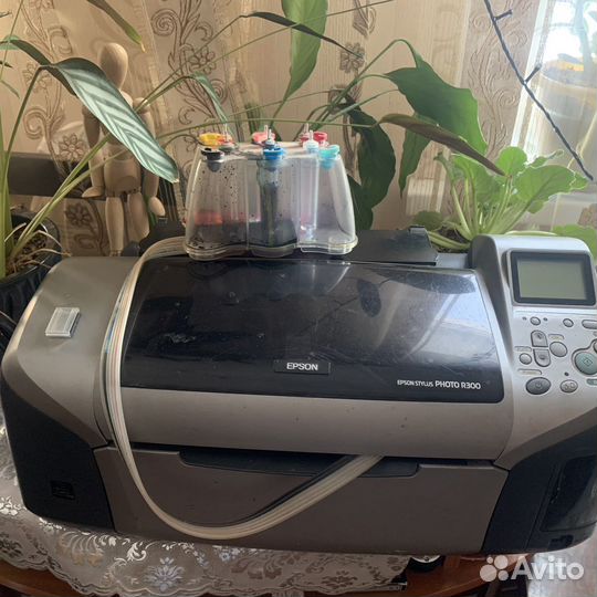 Принтер epson r300