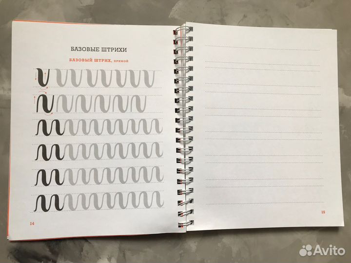 Основы каллиграфии и леттеринга. Прописи