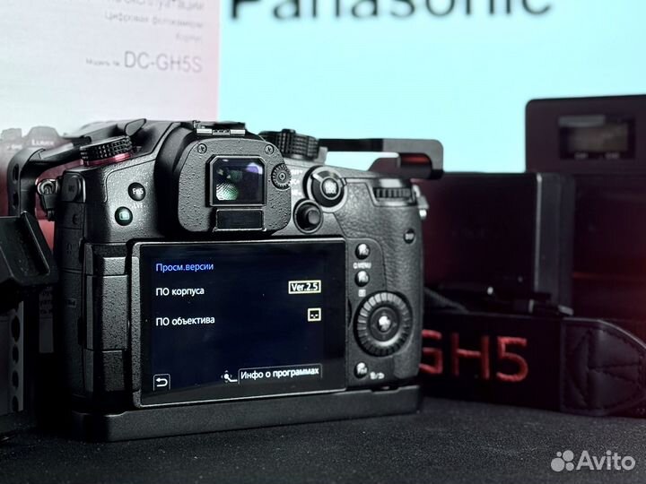 Panasonic Lumix GH5S