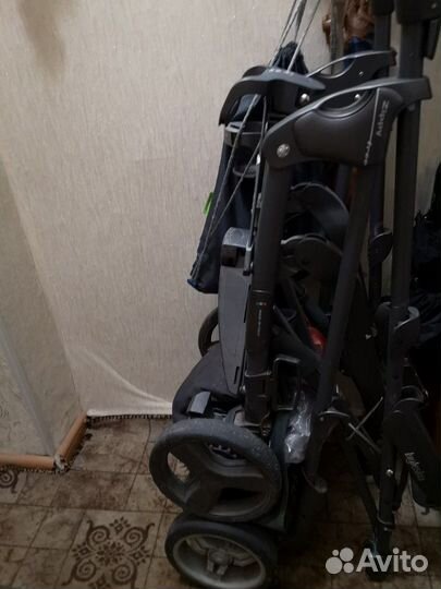 Коляска Inglesina zippy free