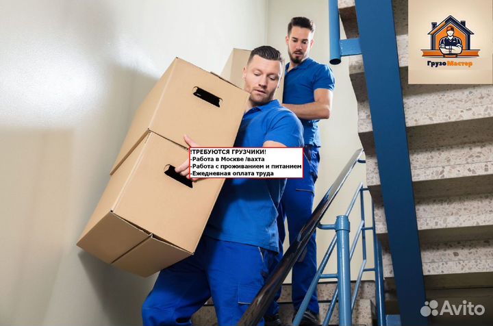 Грузчики с ежедневной оплатой в Москве