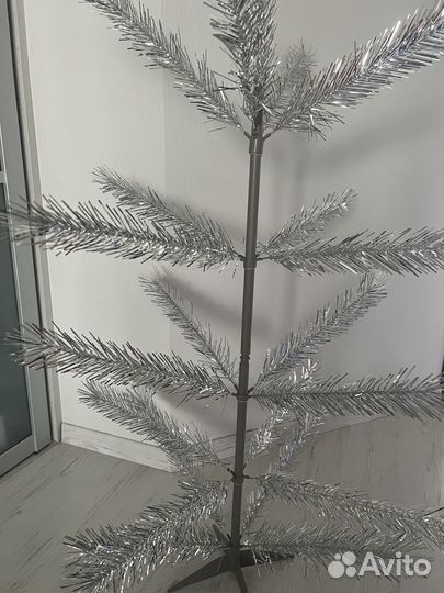 Елка серебристая СССР