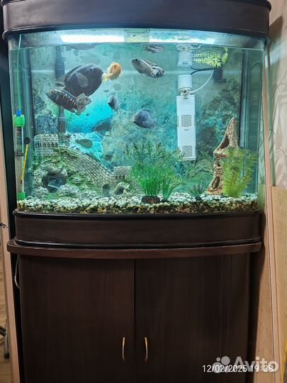 Продам аквариум