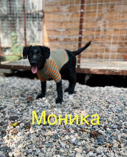 Залюбуйся нами