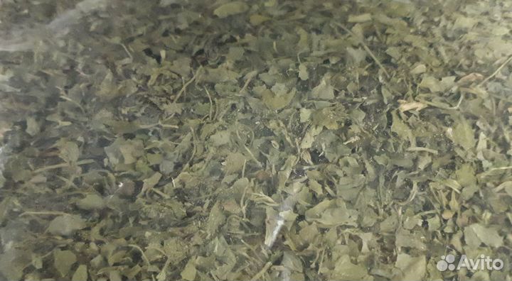 Ореховая трава.Пр-во Индия