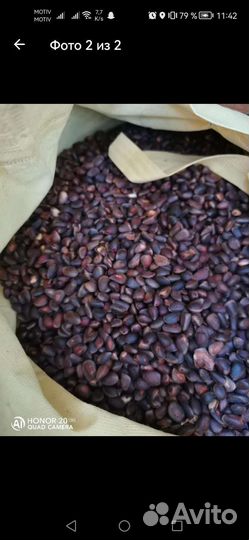 Кедровый орех