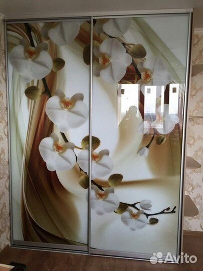 Двери-купе с фотопечатью на стекле шк-174