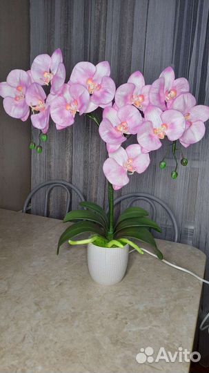 Светильник настольный