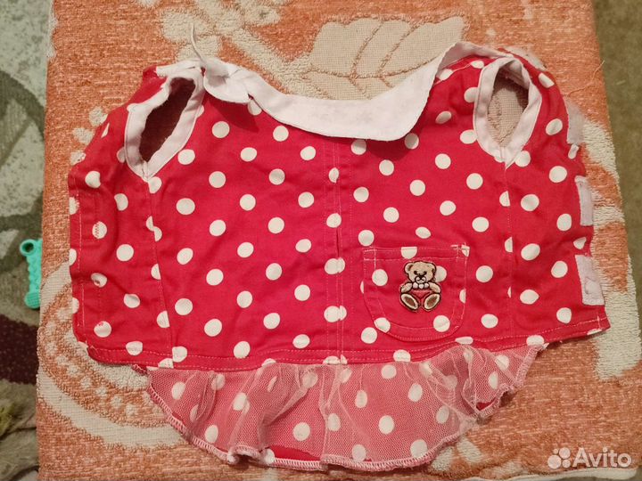 Вещи для маленьких собак