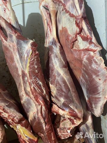 Мясо говядина халяль,баранина,жир. Халялное