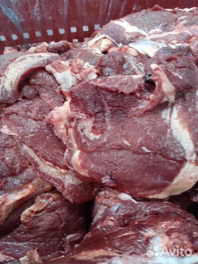 Мясо для собак