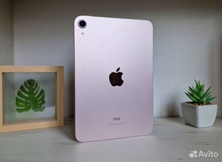 iPad Mini 6 поколения + стилус