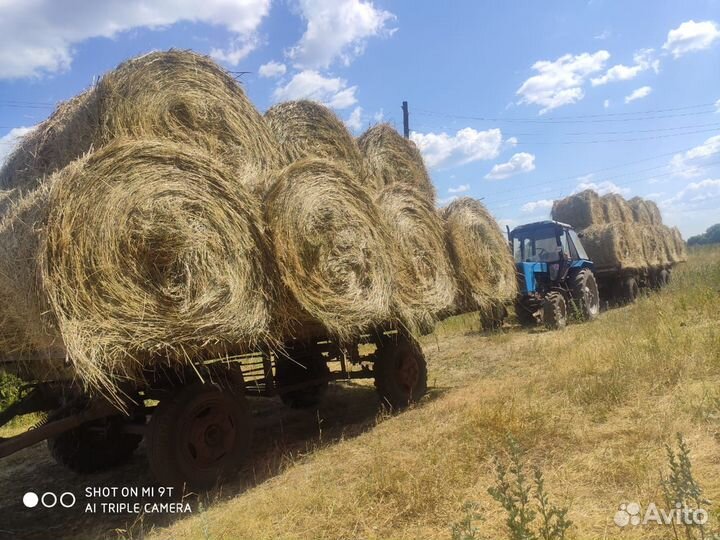 Сено в рулонах и тюках от производителя, 2022 года