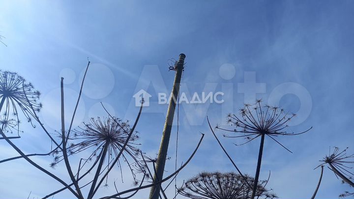 Участок 12 сот. (ИЖС)