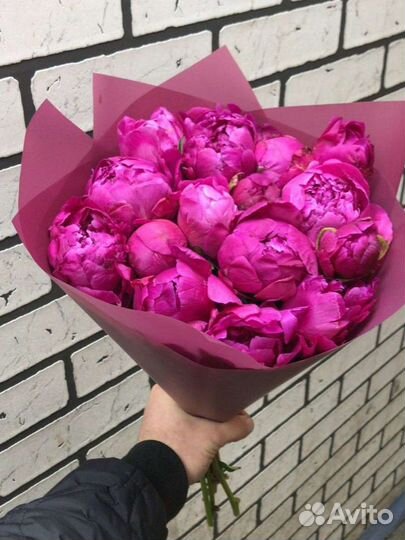 Пионы свежие с доставкой быстро рядом качественно