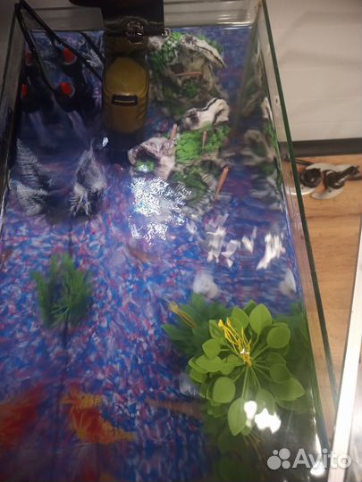 Аквариум