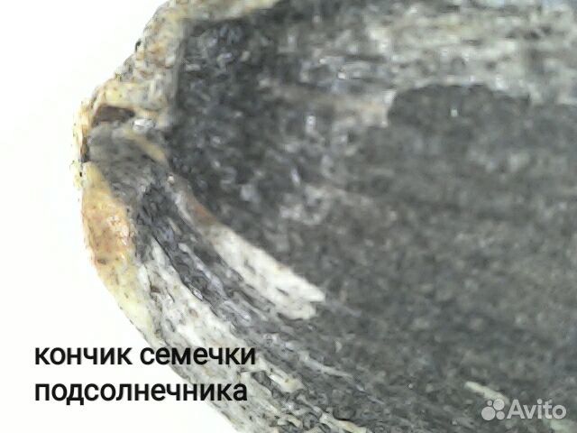 Электронный микроскоп Espada USB