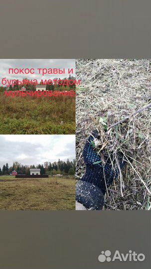 Спил деревьев, покос травы