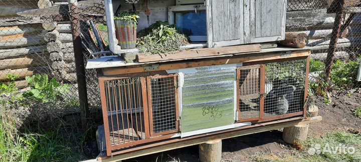 Клетка для кроликов