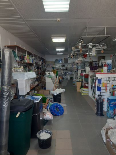Торговая площадь, 100 м²