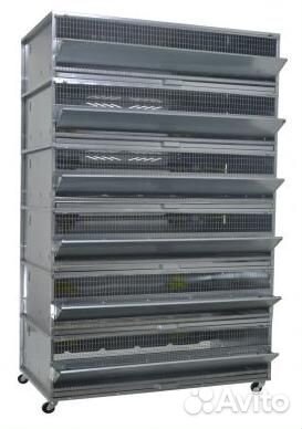 Клетка для перепелов на 50 (до 300) голов