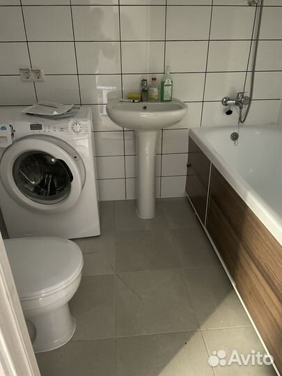 Раковина тюльпан