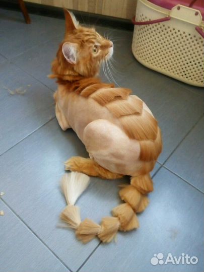 Стрижка (груминг) кошек и собак, экспресс линька