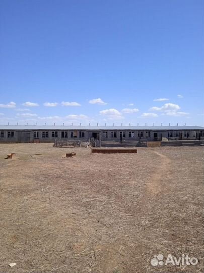 Животноводческая ферма продаю