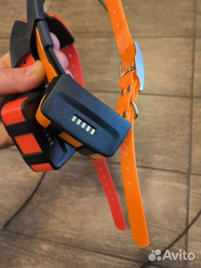 Garmin ошейник версия Америка