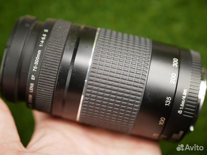 Ultrasonic canon EF 75-300 версия III