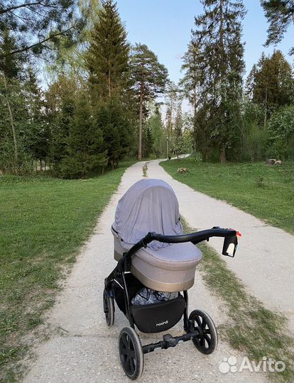 Коляска 2 в 1 noordi sole GO