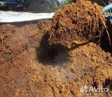 Перегной с фермы