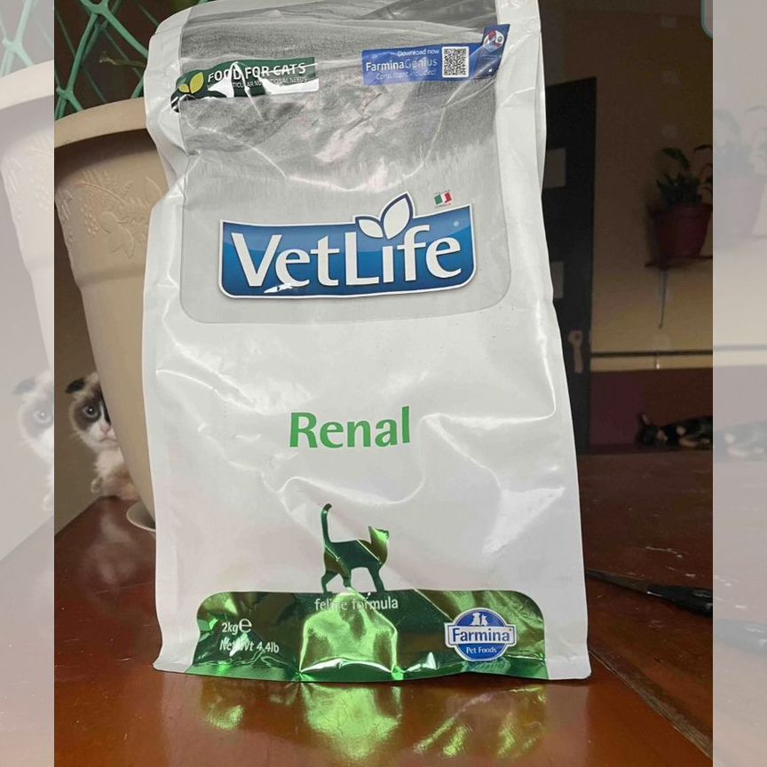 Корм для кошек Farmina Vetlife Renal