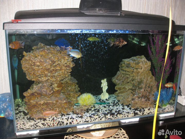 Аквариум