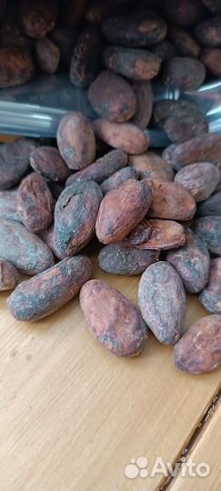 Какао-бобы Криолло 100 гр. Эквадор