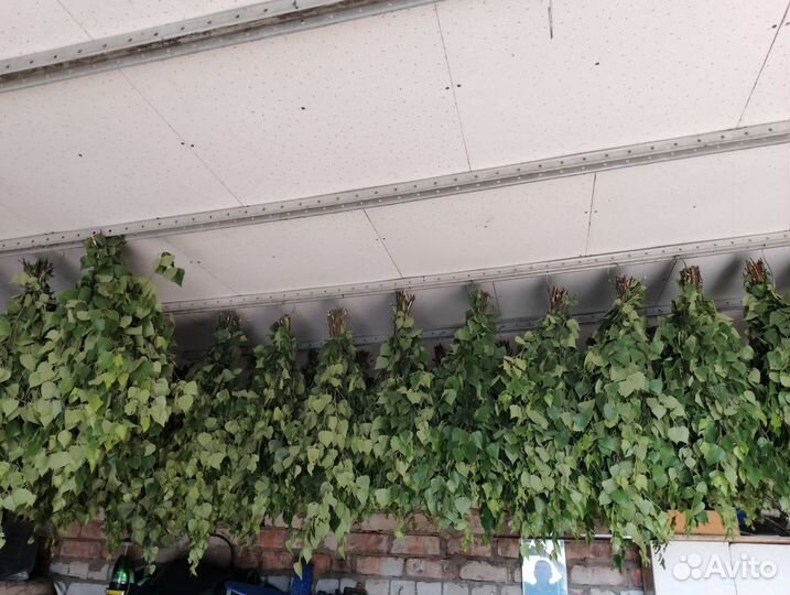 Березовые веники