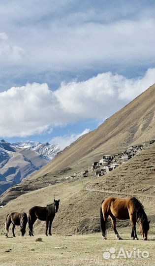 Экскурсия — Махачкала — Обогнать солнце иподняться