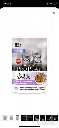 Паучи для котят pro plan
