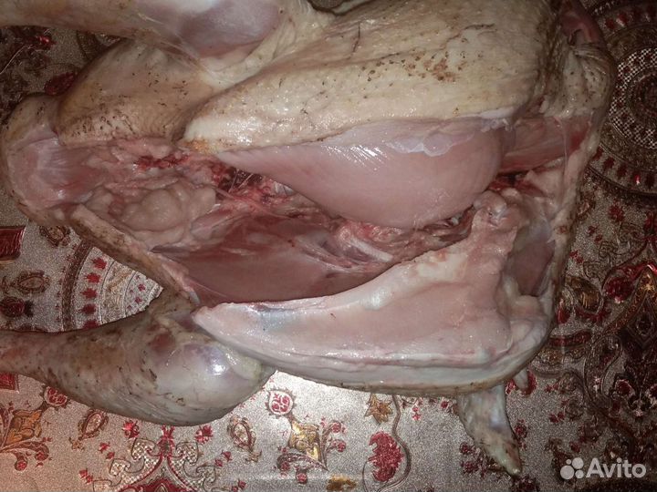 Мясо индейки