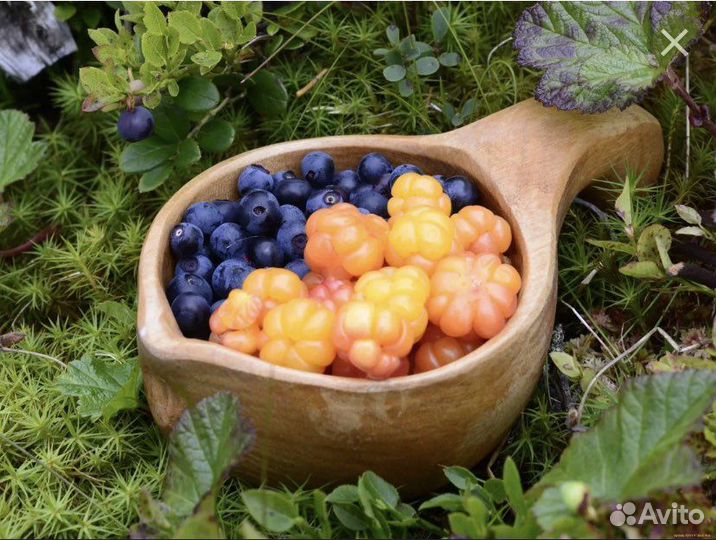 Ягоды, грибы