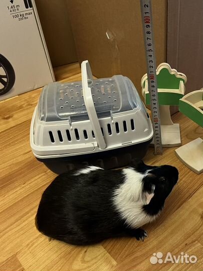 Переноска для грызунов