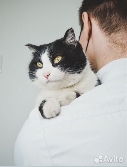 Nikon D3200 kit 18-55mm, ver II. Полупрофессионал