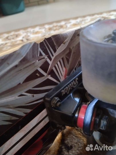 Дека для скейтборда