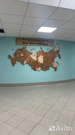 Кapтa Pоcсии с подсветкой и без подсветки