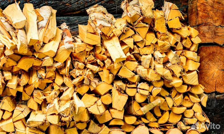 Дрова Береза